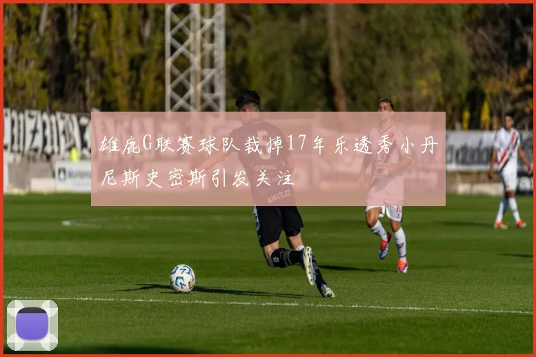 雄鹿G联赛球队裁掉17年乐透秀小丹尼斯史密斯引发关注