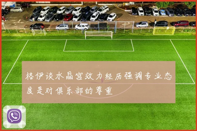 格伊谈水晶宫效力经历强调专业态度是对俱乐部的尊重