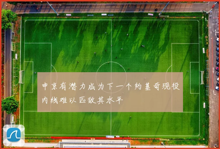 申京有潜力成为下一个约基奇现役内线难以匹敌其水平